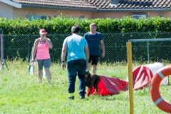 Un Kafi heureux de trouver son maître