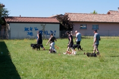 Tous en marche!