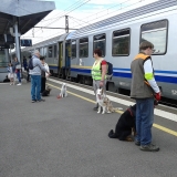 Découverte de la SNCF